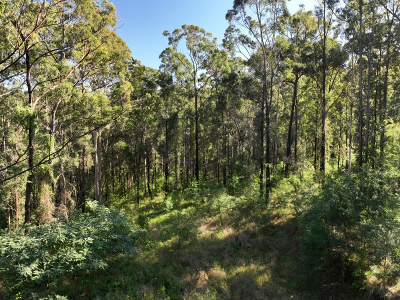 8 Koorainghat Close, Rainbow Flat NSW 2430