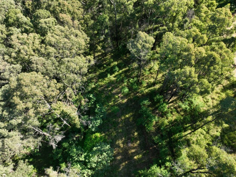 8 Koorainghat Close, Rainbow Flat NSW 2430