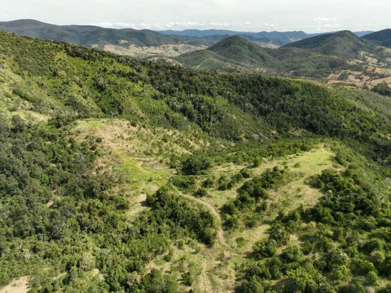 219 Beetons Road, Caffreys Flat NSW 2424