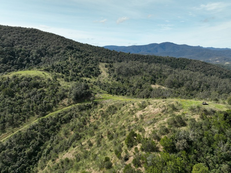 219 Beetons Road, Caffreys Flat NSW 2424