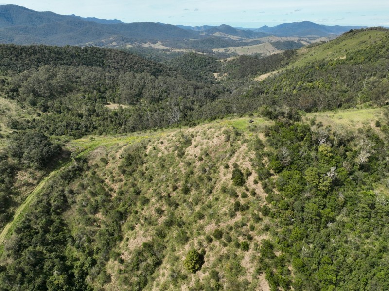 219 Beetons Road, Caffreys Flat NSW 2424