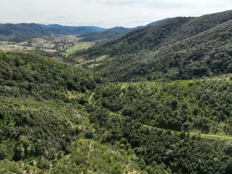 219 Beetons Road, Caffreys Flat NSW 2424