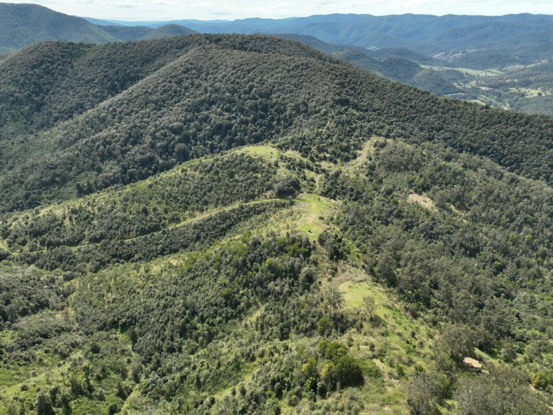 219 Beetons Road, Caffreys Flat NSW 2424