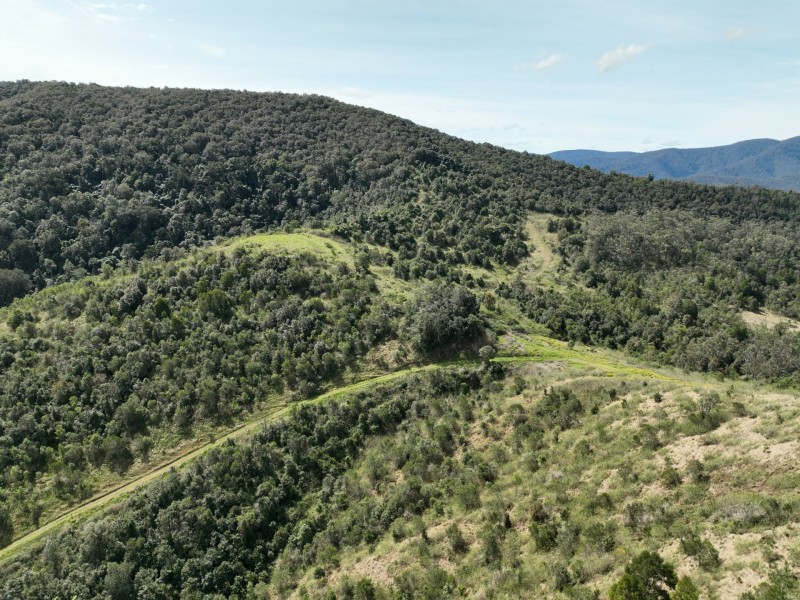 219 Beetons Road, Caffreys Flat NSW 2424