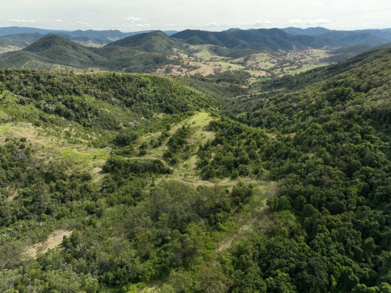 219 Beetons Road, Caffreys Flat NSW 2424