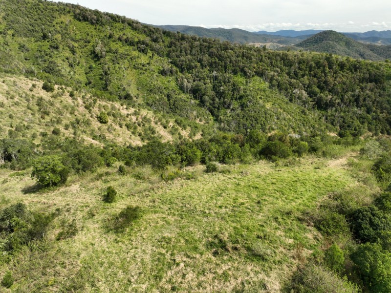 219 Beetons Road, Caffreys Flat NSW 2424