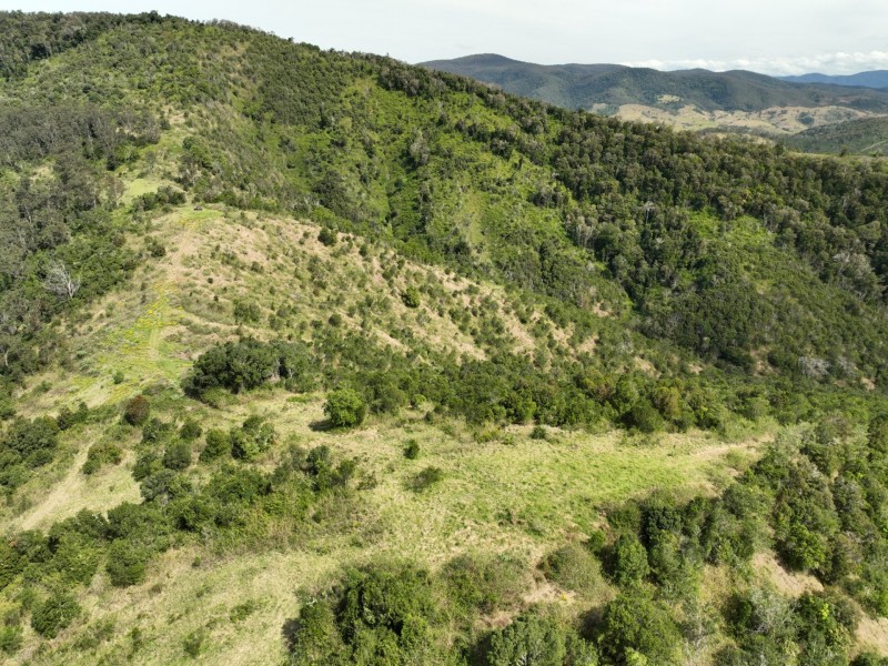 219 Beetons Road, Caffreys Flat NSW 2424