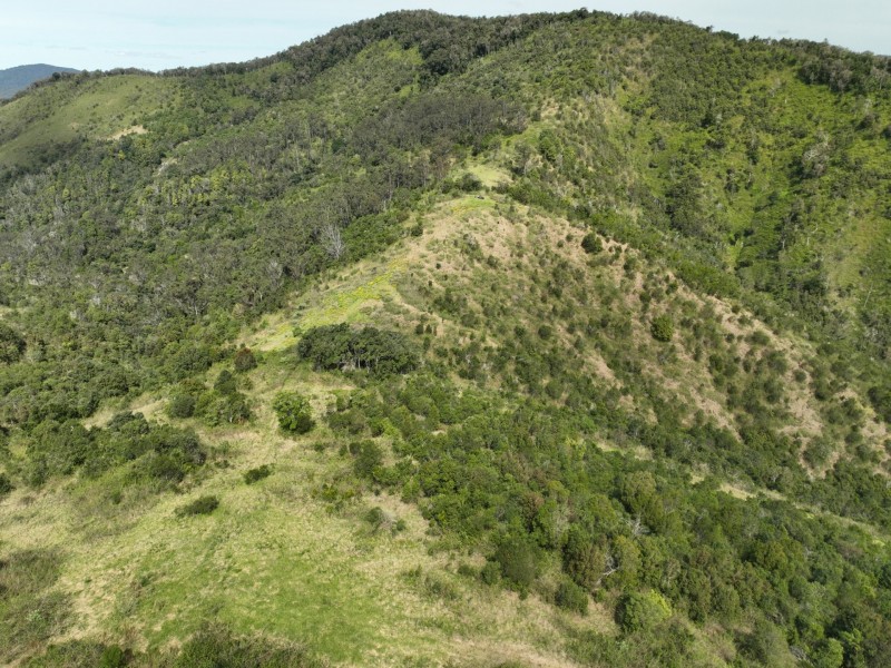 219 Beetons Road, Caffreys Flat NSW 2424