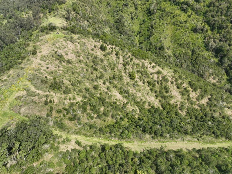 219 Beetons Road, Caffreys Flat NSW 2424