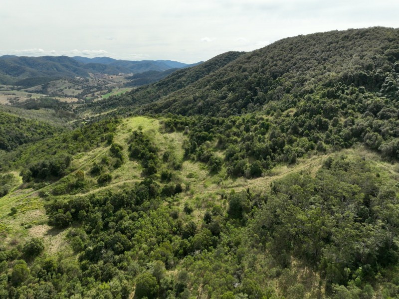 219 Beetons Road, Caffreys Flat NSW 2424