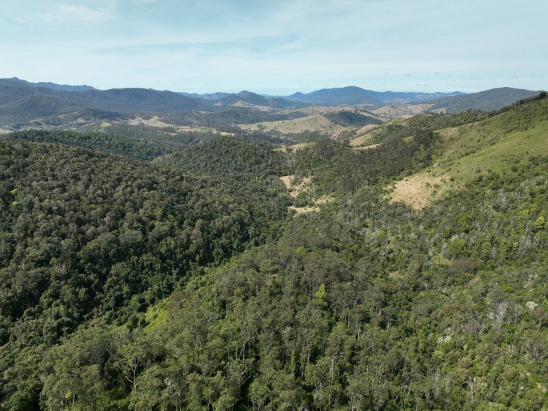 219 Beetons Road, Caffreys Flat NSW 2424