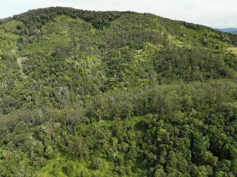 219 Beetons Road, Caffreys Flat NSW 2424