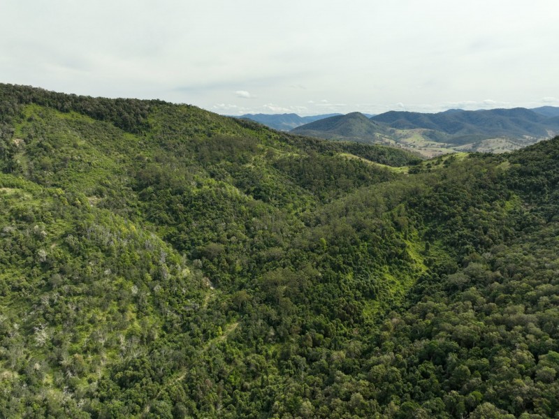 219 Beetons Road, Caffreys Flat NSW 2424