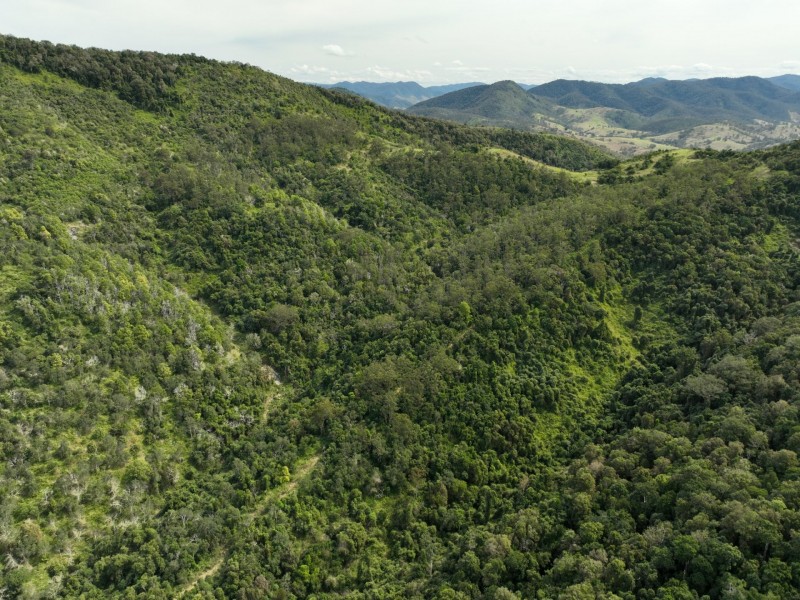 219 Beetons Road, Caffreys Flat NSW 2424