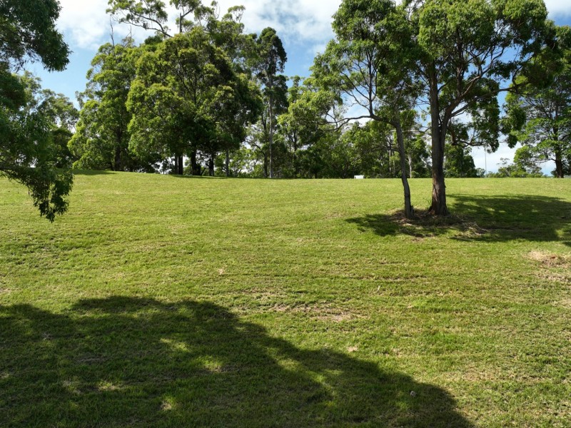 62 Hilltop Parkway, Tallwoods Village NSW 2430