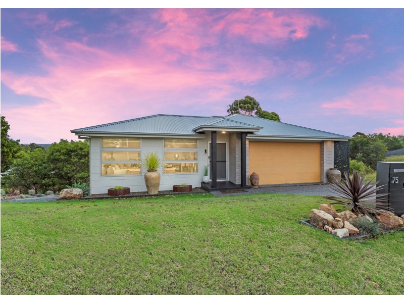 75 Coastal View Drive, Tallwoods Village NSW 2430