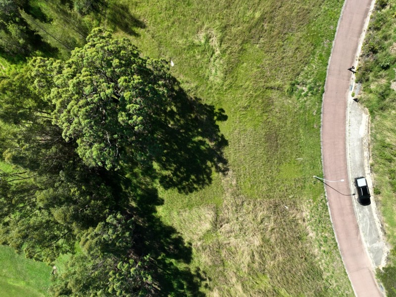 9 Bottle Brush Lane, Tallwoods Village NSW 2430