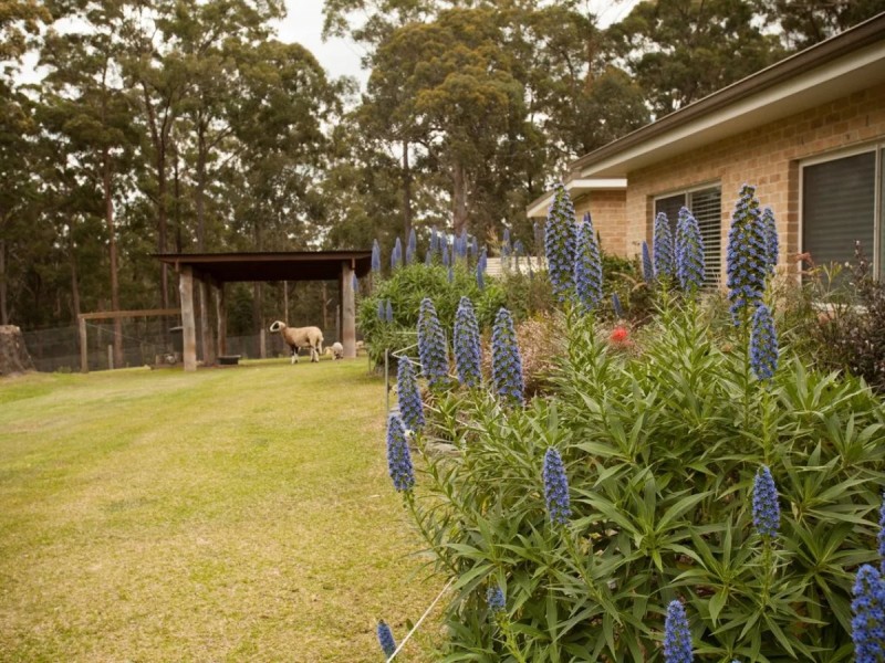 213 Tallwood Drive, Tallwoods Village NSW 2430