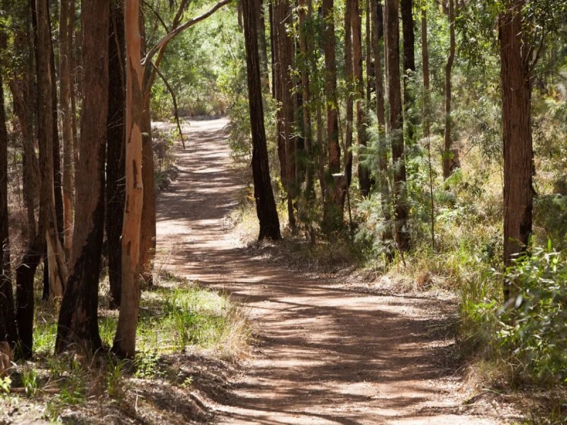 213 Tallwood Drive, Tallwoods Village NSW 2430