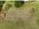 19 Azalea Crescent, Tallwoods Village NSW 2430
