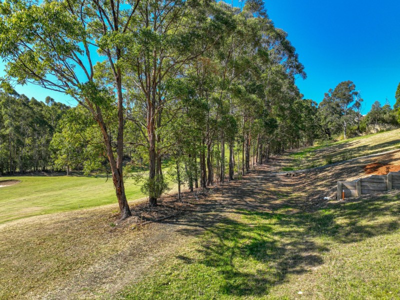 1 Golden Wattle Way, Tallwoods Village NSW 2430