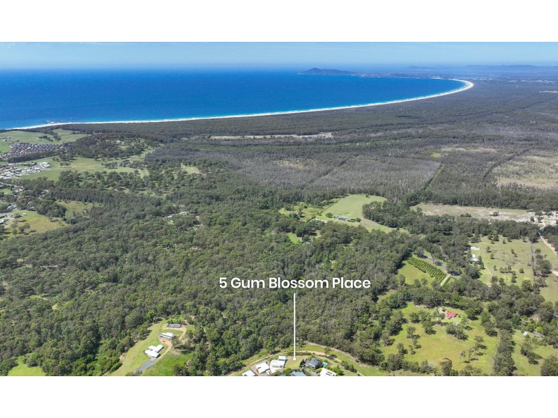 5 Gum Blossom Place, Tallwoods Village NSW 2430