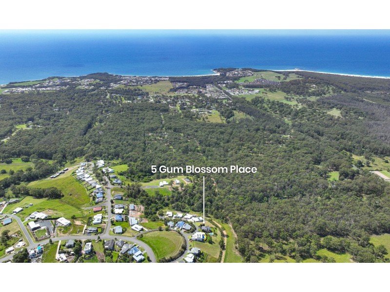 5 Gum Blossom Place, Tallwoods Village NSW 2430
