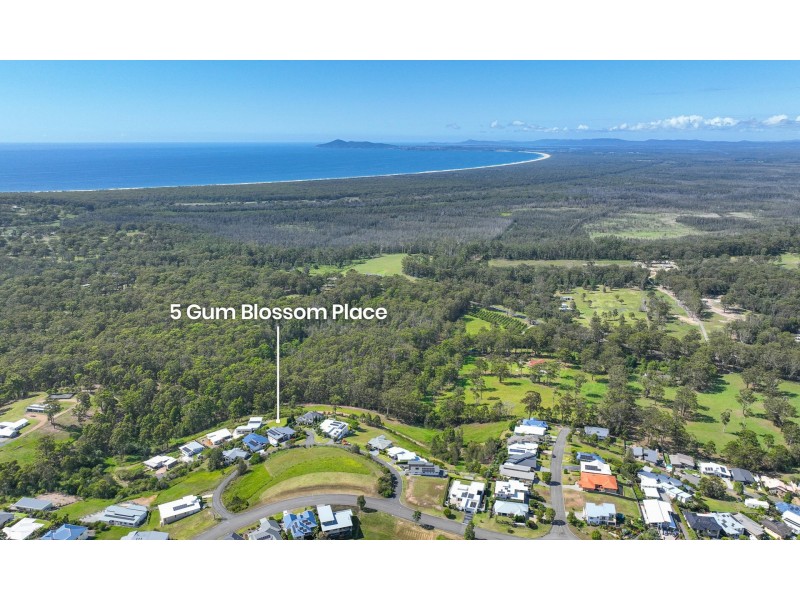 5 Gum Blossom Place, Tallwoods Village NSW 2430