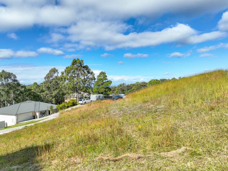 24 Illusions Court, Tallwoods Village NSW 2430