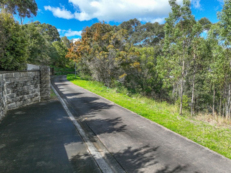 13 Lorikeet Way, Tallwoods Village NSW 2430