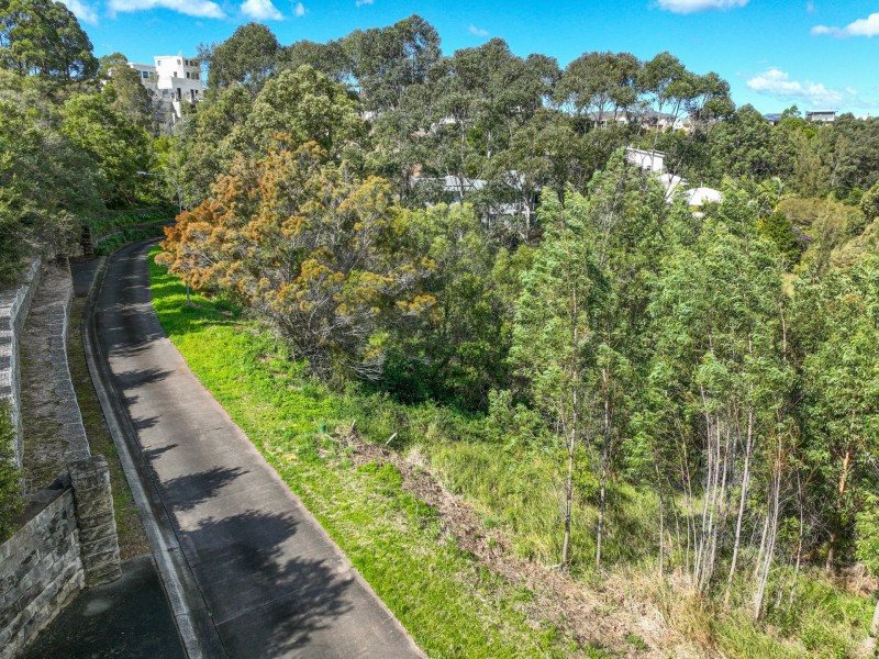 13 Lorikeet Way, Tallwoods Village NSW 2430
