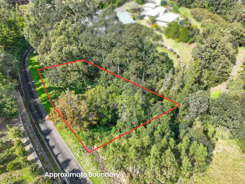 13 Lorikeet Way, Tallwoods Village NSW 2430