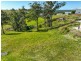 Proposed Lot 1/2 Creekline Crescent, Tallwoods Village NSW 2430