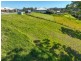 Proposed Lot 1/2 Creekline Crescent, Tallwoods Village NSW 2430