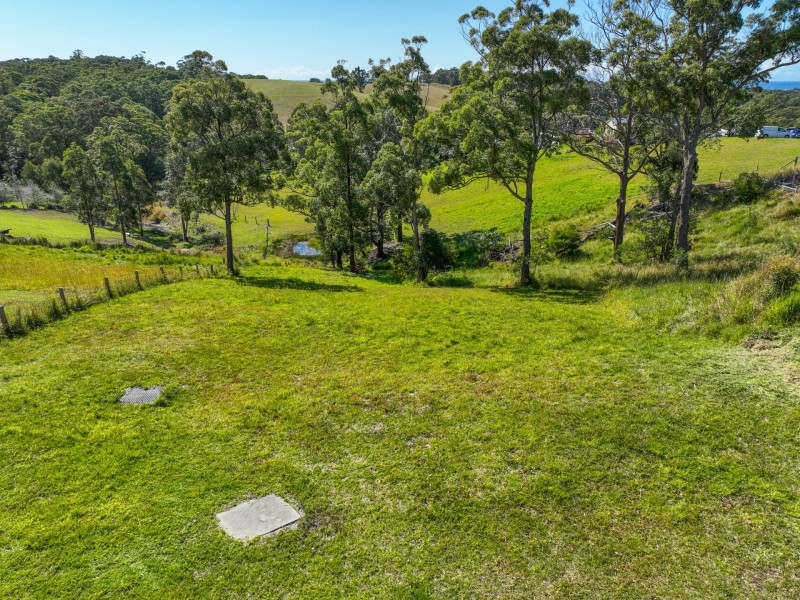 Proposed Lot 1/2 Creekline Crescent, Tallwoods Village NSW 2430