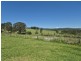 1954 Willina Road, Bunyah NSW 2429