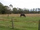 Taree NSW 2430