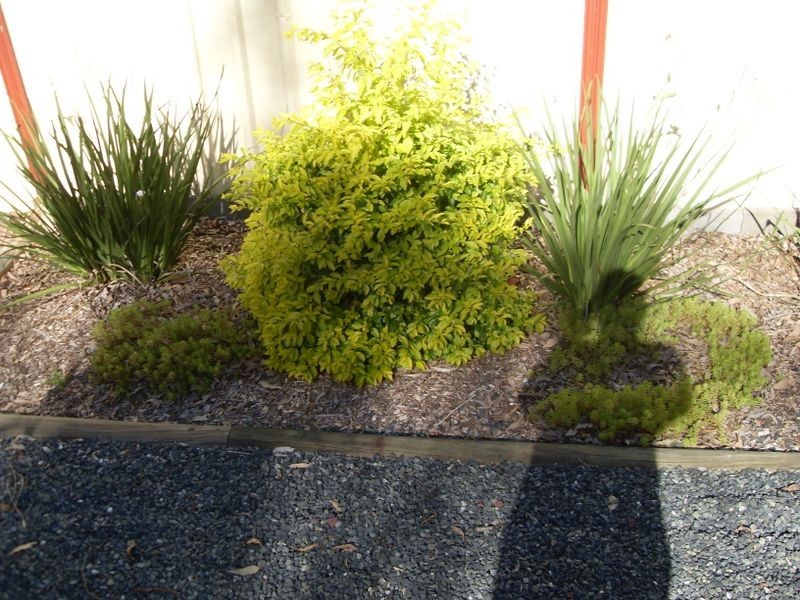 Taree NSW 2430