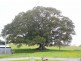 Moorland NSW 2443
