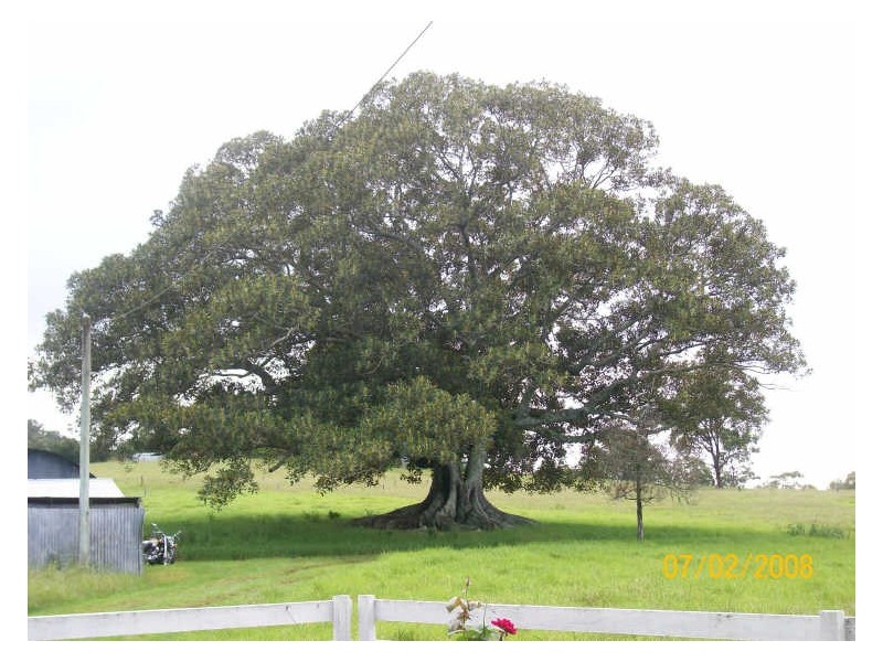 Moorland NSW 2443