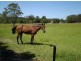 Taree NSW 2430