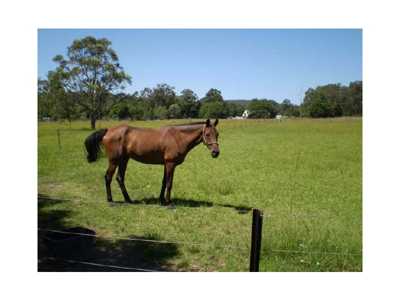 Taree NSW 2430