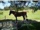 Taree NSW 2430