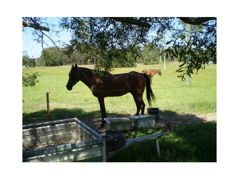 Taree NSW 2430