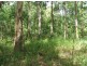 Possum Brush NSW 2430