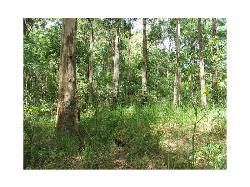 Possum Brush NSW 2430