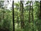Possum Brush NSW 2430