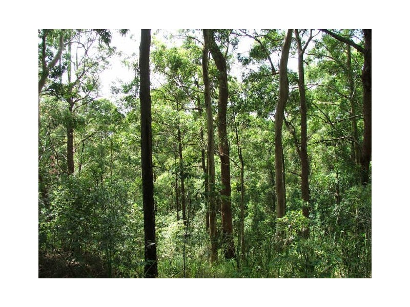 Possum Brush NSW 2430