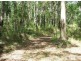 Possum Brush NSW 2430