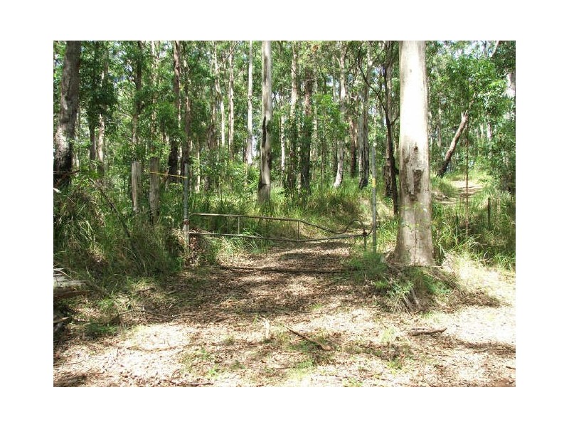 Possum Brush NSW 2430